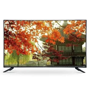 Sony Plus 24 Inch HD LED TV 4K Supported Basic Television (Resolution 1080P 1366 x 768)